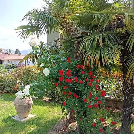 Bed & Breakfast Riflessi D'arte *