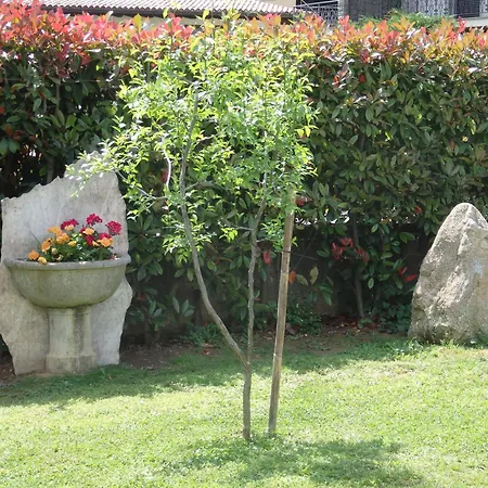 Oda ve Kahvaltı Riflessi D'arte Provaglio d'Iseo
